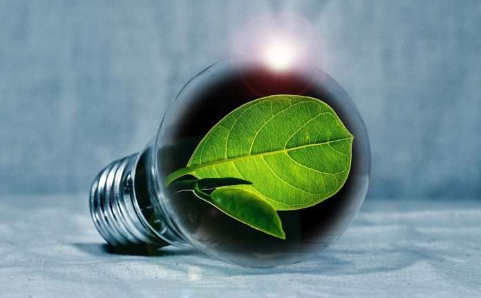 light-bulb-2631864_1280 (1)