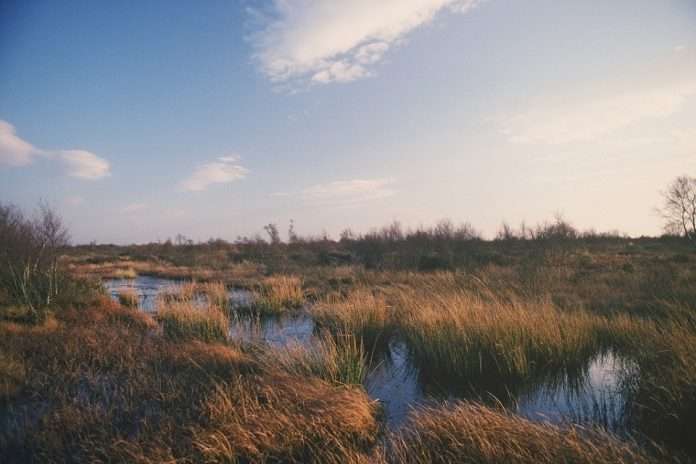 s960_Peat_Humberhead_Peatlands_Copyright_Natural_England_Peter_Roworth