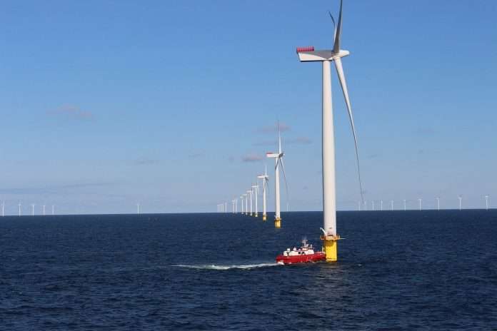 wind farm