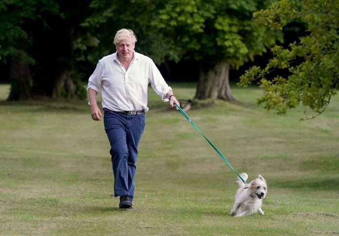 Boris Johnson takes his dog Dilyn for a walk in the grounds of Chequers.