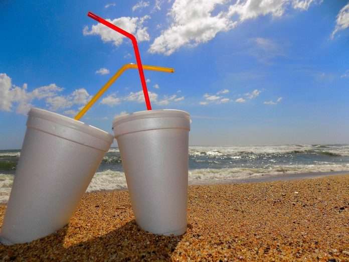cups-1972235_1280