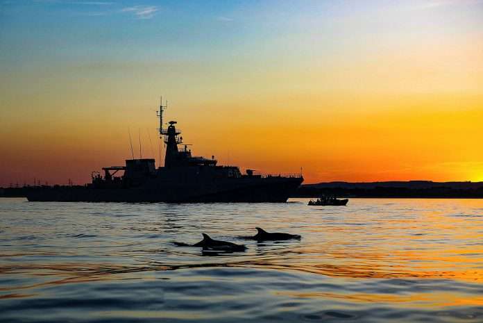 HMS Tamar conducts sea boat exercises at anchor in Portland as part of routine training, while a local population of Common Dolphins investigates. Photographer: LPhot Alex Ceolin - UK MOD © Crown copyright 2021