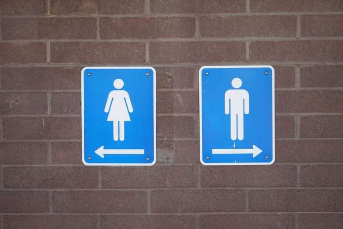 toilets wall-g2e1369efc_1920