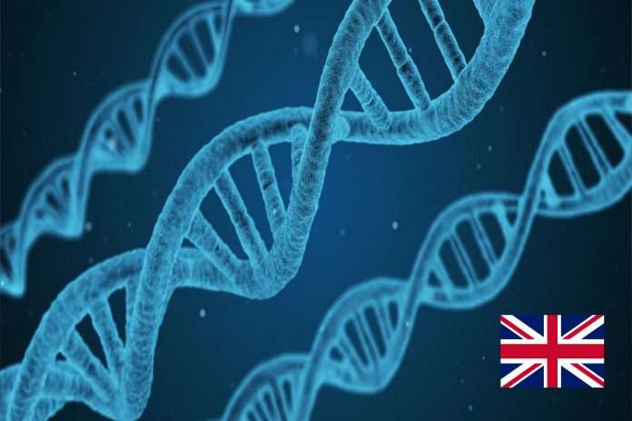 genome dna gene
