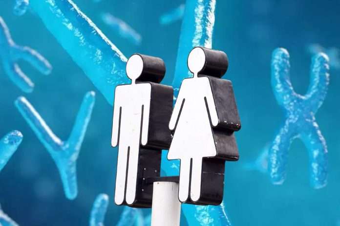 gender, sexes man woman