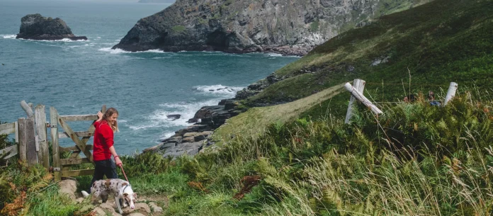 visitor-access-and-footpaths-will-be-improved-at-smiths-cliff-tintagel-following-the-national-trusts-recent-acquisition-of-the-land-photo-credit-national-trust-images-steve-haywood.jpg