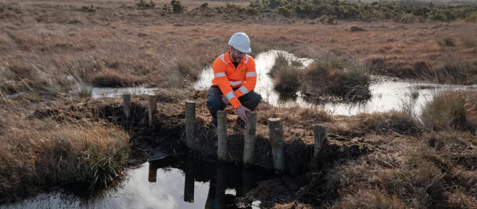 leaky-dams-are-being-built-across-the-restoration-site-in-purbeck-to-block-old-ditches---credit-national-trust-images-sophie-bolesworth.jpg