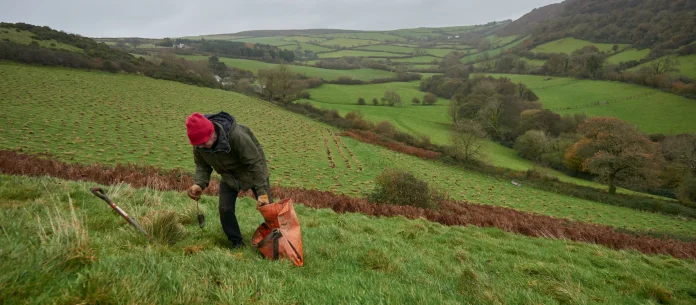 new-tree-planting-will-create-a-mosaic-of-habitats-across-north-devon---credit-national-trust-images-trevor-ray-hart-1-1.jpg