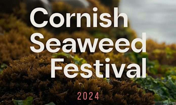 Explore-the-Oceans-Hidden-Gems-at-the-Cornish-Seaweed-Festival-2024