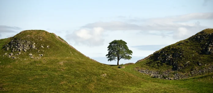 sycamore-gap-tree-at-hadrians-wall-in-northumberland---credit-national-trust-images-john-millar1.jpg