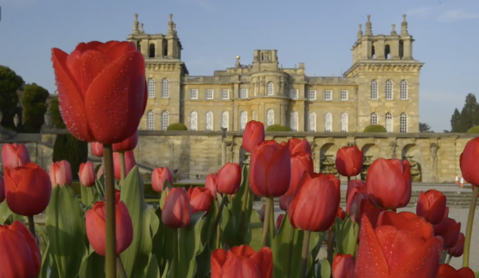 Screen grab Blenheim Palace flower show Screenshot 2025-01-18 at 09.00.10