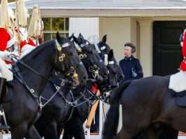 A century of courage and sacrifice: Princess Royal honours Britain’s fallen Guardsmen in moving centenary tribute